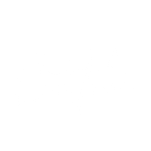 Zoria Custom